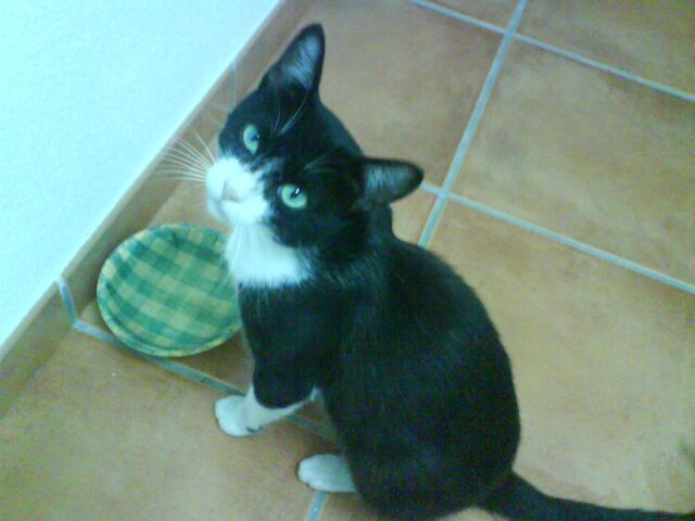Imagen