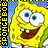 sponge sponge