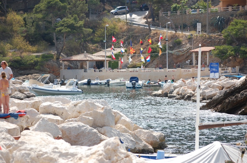 dsc_1222.jpg