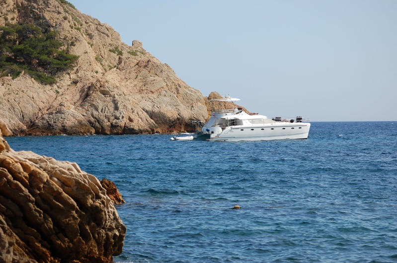 dsc_1226.jpg