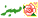 m7 m7