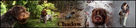chadow10.jpg