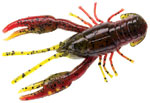 craw_b10.jpg