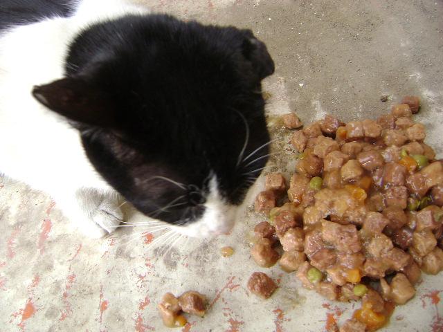 oreja210.jpg