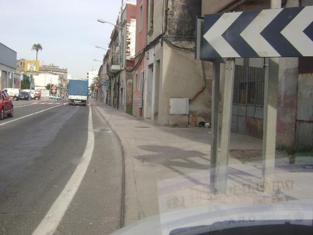 oreja510.jpg